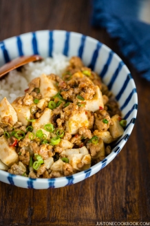Mapo Tofu (Mabo Dofu 麻婆豆腐) | Easy Japanese Recipes at JustOneCookbook.com