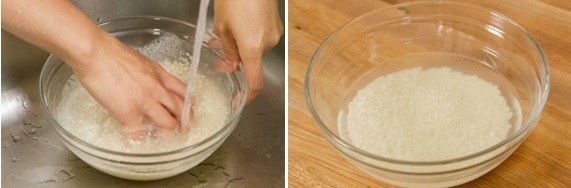 Sakura Mochi 0 Sakura Mochi 0