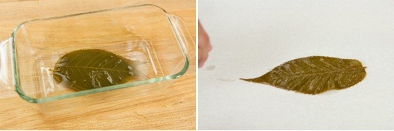 Sakura Mochi 6 Sakura Mochi 6