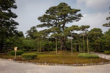 Kenrokuen | JustOneCookbook.com