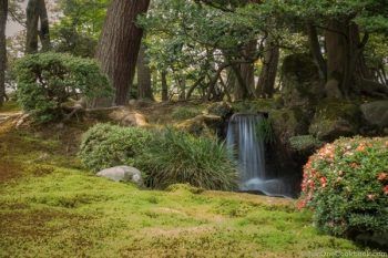 Kenrokuen | JustOneCookbook.com