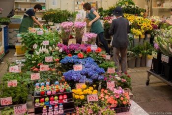 Omicho Market | JustOneCookbook.com