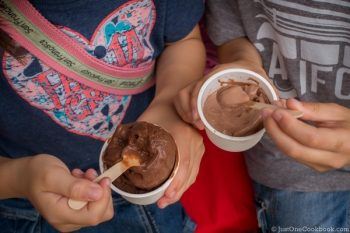 Nishi Chaya | JustOneCookbook.com