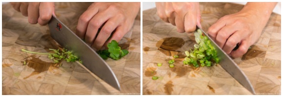 Niku Udon 5 Niku Udon 5