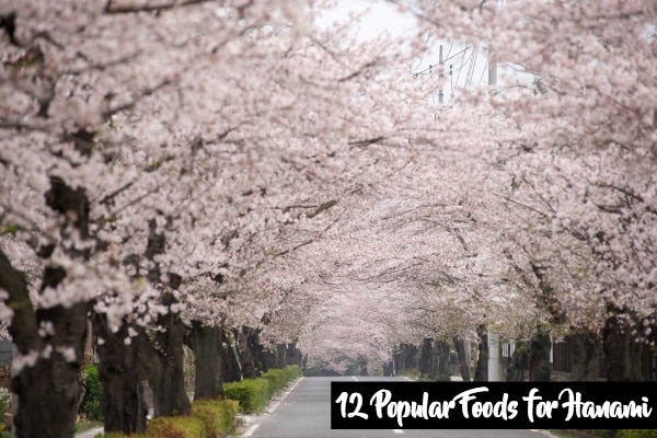 12 Popular Foods to Enjoy at Cherry Blossom Viewing (Hanami)