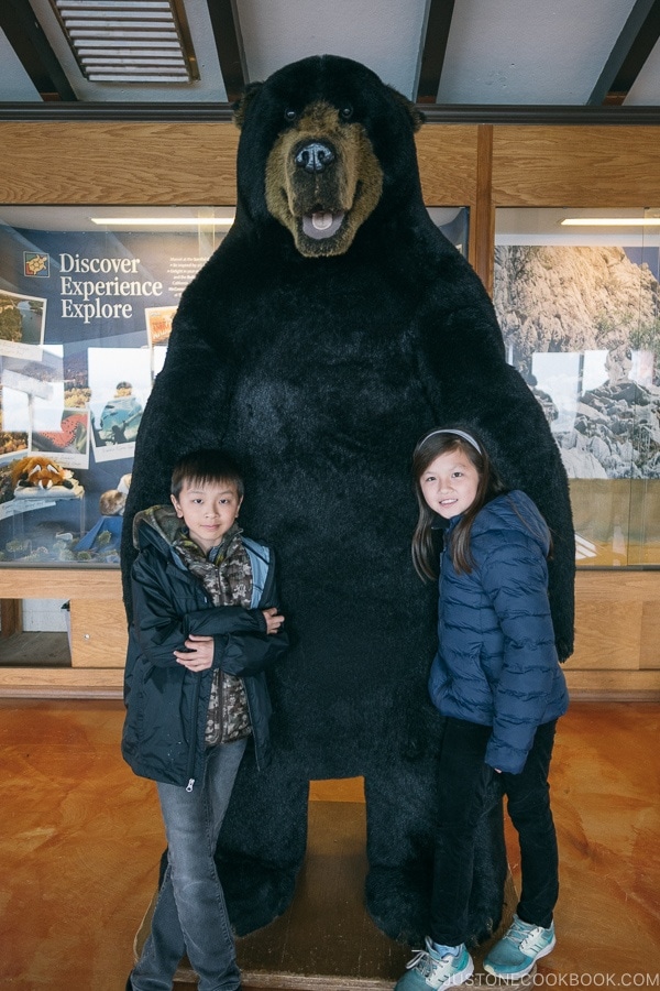 Just One Cookbook children standing next to a large bear figure - Lake Shasta Caverns Travel Guide | justonecookbook.com