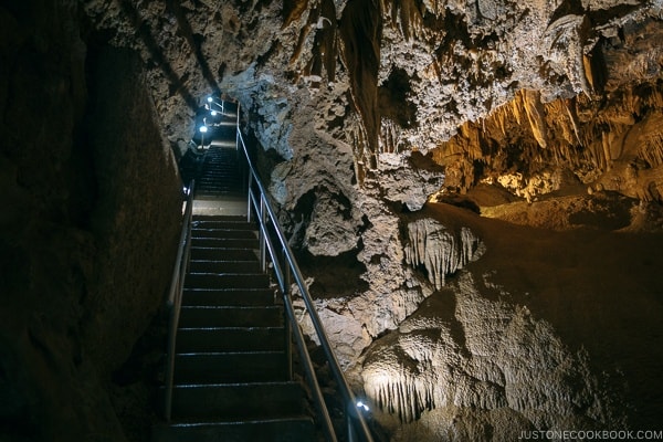 steps going up to explore more cave room - Lake Shasta Caverns Travel Guide | justonecookbook.coms