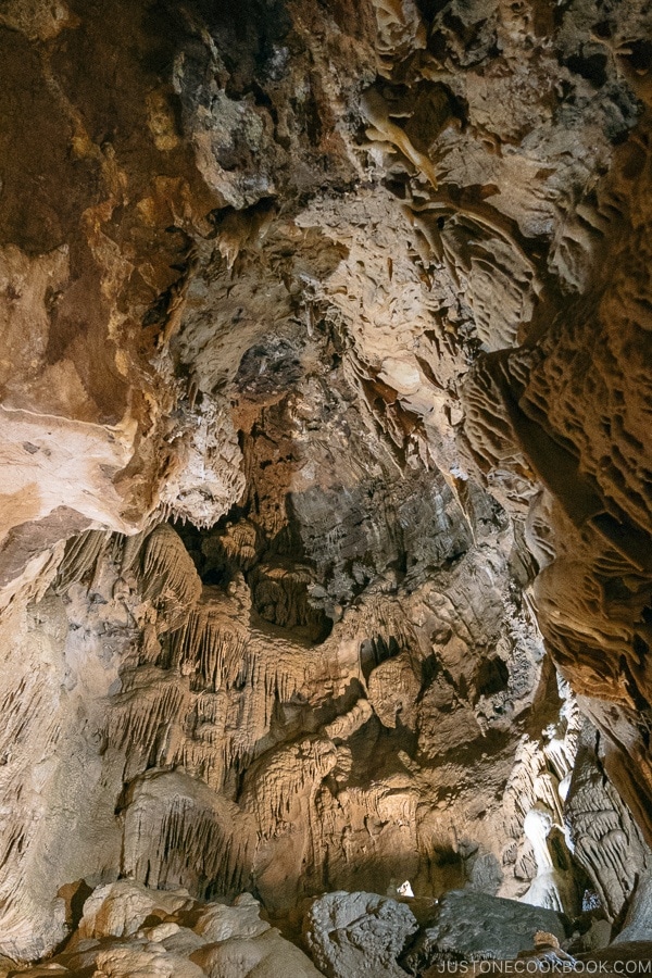 expansive stalactites formation inside cave - Lake Shasta Caverns Travel Guide | justonecookbook.com