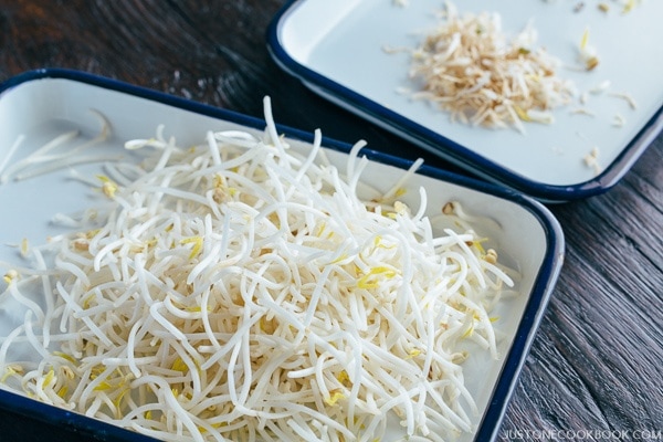 Bean Sprout on trays.