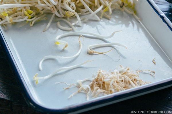 Bean Sprout on a white tray.