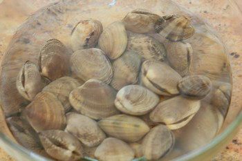How To Degrit Clams | Easy Japanese Recipes at JustOneCookbook.com
