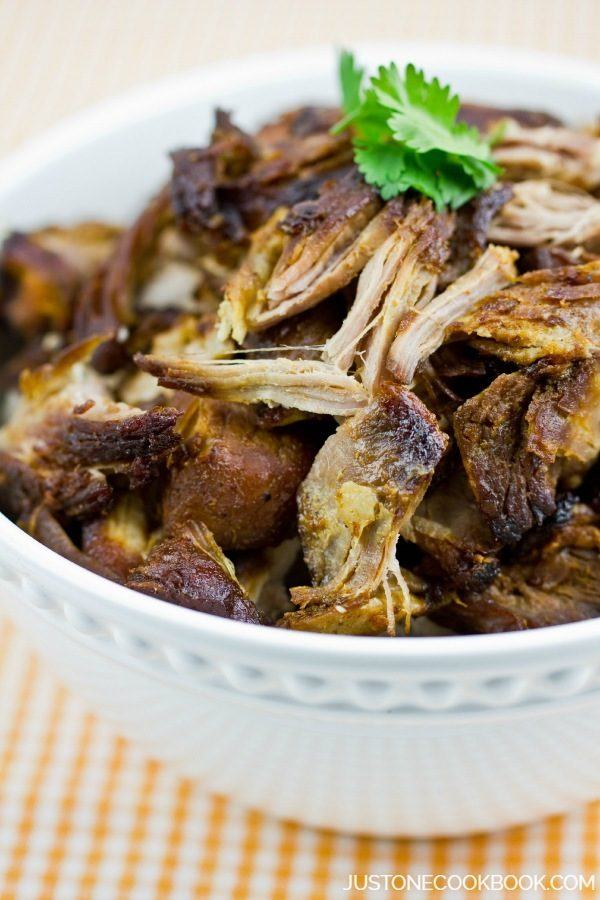 Braised Carnitas in a bowl.