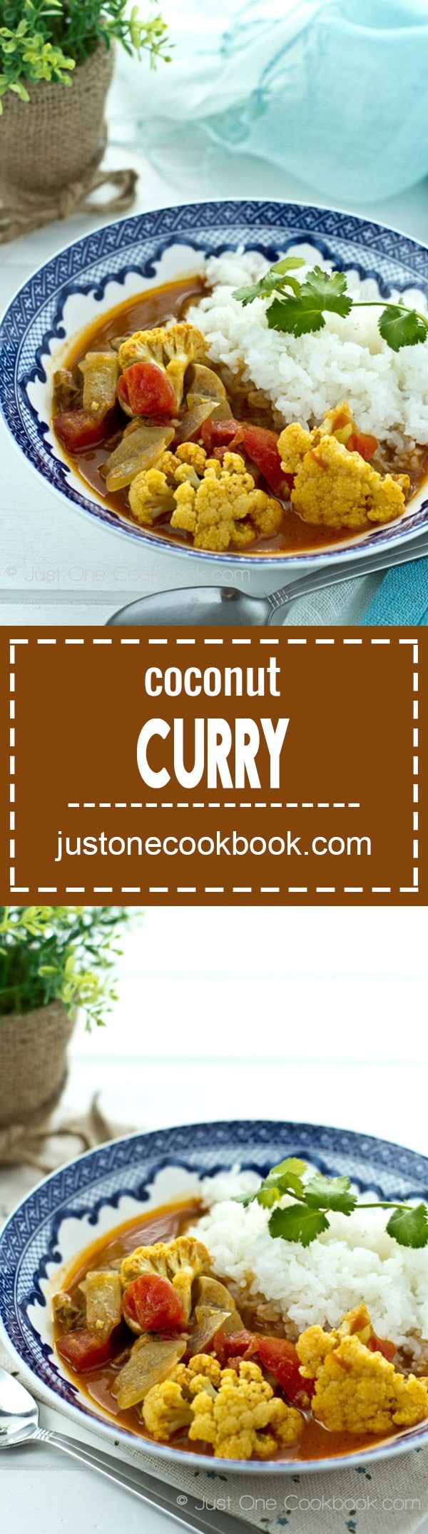 Coconut Curry • Just One Cookbook