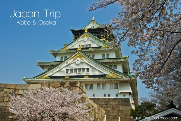 Japan Trip 2012 vol. 2 | JustOneCookbook.com