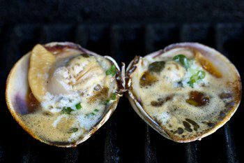 Grilled Little Neck Clams 5