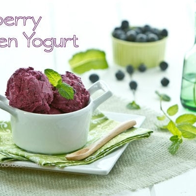 Blueberry Frozen Yogurt | Just One Cookbook