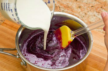 Blueberry Frozen Yogurt 5