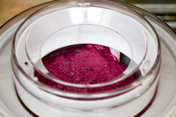 Blueberry Frozen Yogurt 7