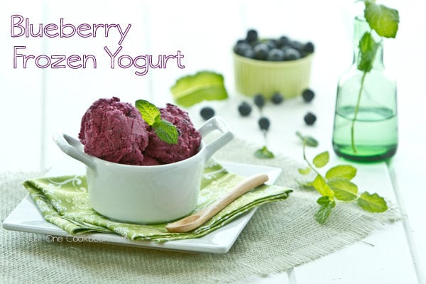 Blueberry Frozen Yogurt Recipe | JustOneCookbook.com