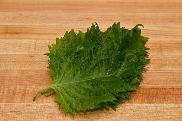 Shiso