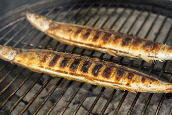 Grilled Sanma 8