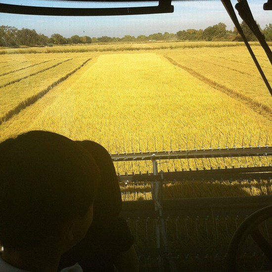 Harvester 2