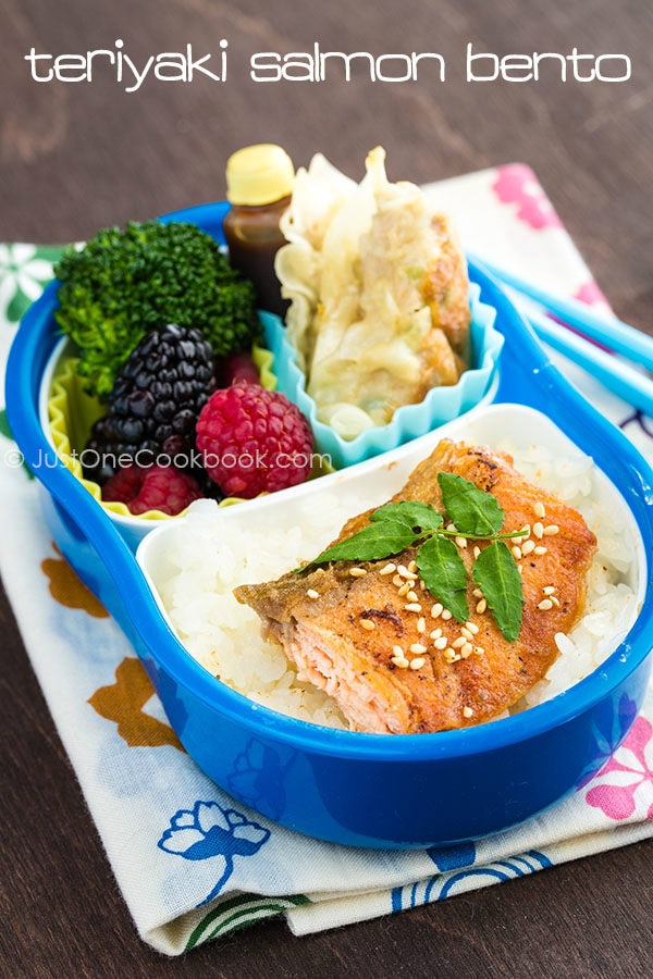 Teriyaki Salmon Bento with gyoza, broccoli and berries.