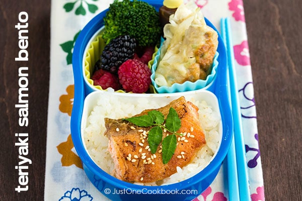 Teriyaki Salmon Bento with white rice, gyoza, broccoli and berries.