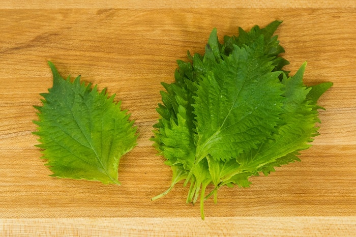 Shiso (Aojiso) | Just One Cookbook