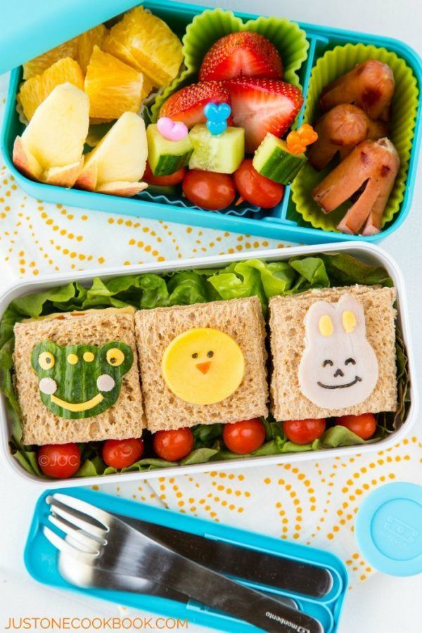 Sandwich Bento with fruits in a lunch box.