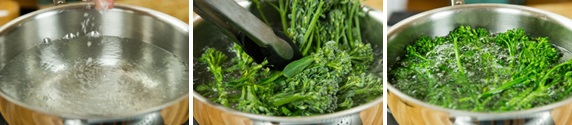 Broccolini Gomaae 2