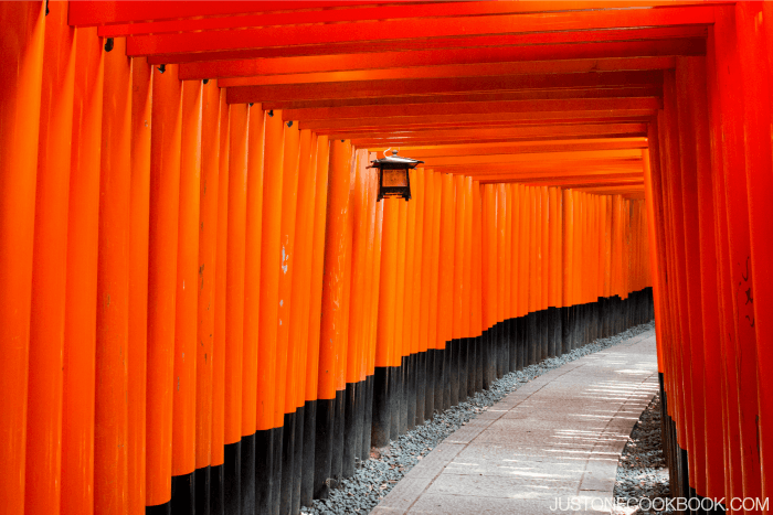 Visiting Kyoto - Fushimi Inari #Japan #kyoto #guide #travel | Easy Japanese Recipes at JustOneCookbook.com