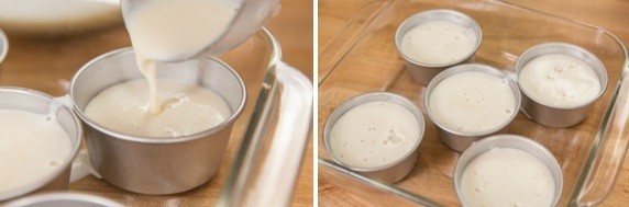 Tofu Pudding Blancmange