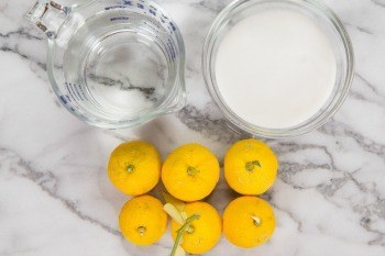 Yuzu Sorbet Ingredients