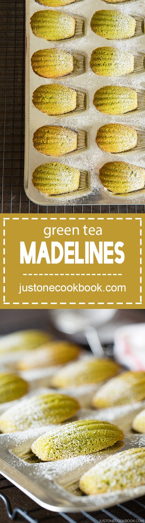 Matcha Madeleines 抹茶マドレーヌ • Just One Cookbook