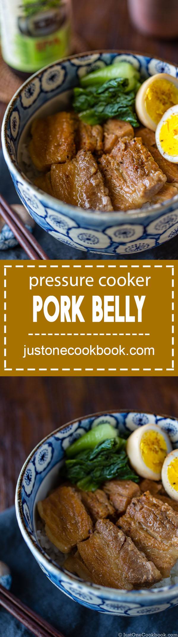 Pressure Cooker Pork Belly (Kakuni) 角煮 (圧力鍋) • Just One Cookbook