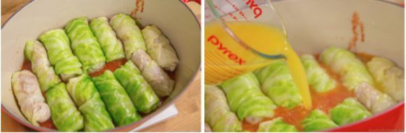 Stuffed Cabbage Rollls 19_w580