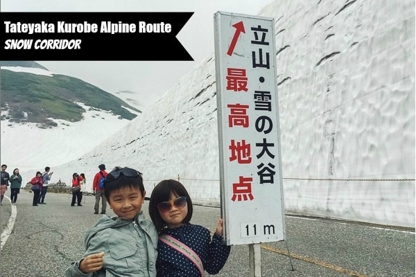 Tateyama Kurobe Alpine Route | JustOneCookbook.com