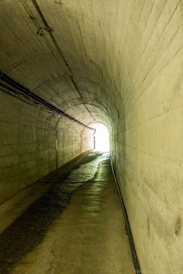 Tunnel to Meiken Onsen