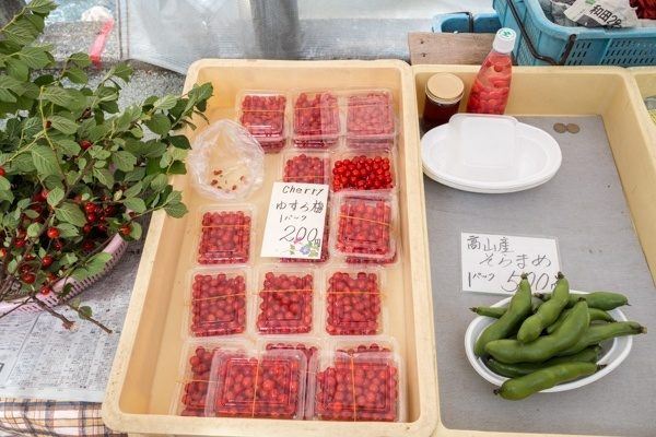 Miyagawa Morning Market | Just One Cookbook