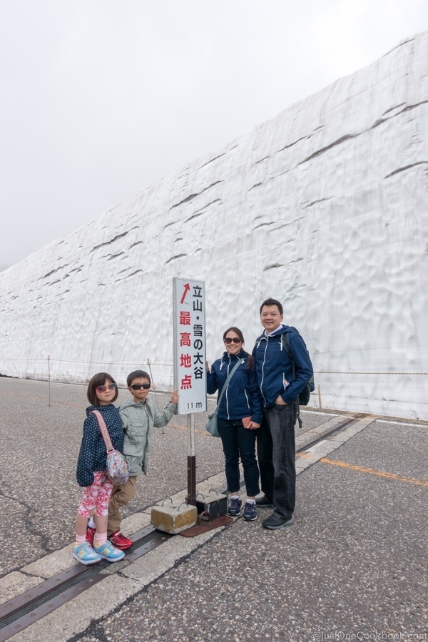 Teteyama Kurobe Alpine Route - Snow Corridor | JustOneCookbook.com