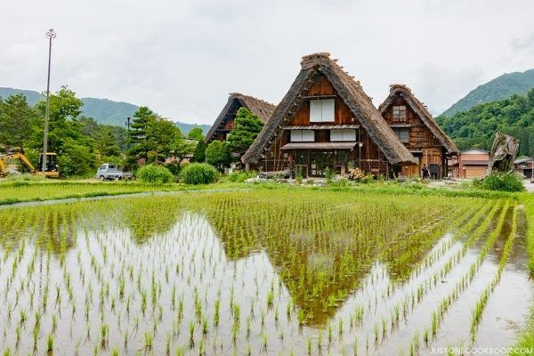 Shirakawa-go | Just One Cookbook