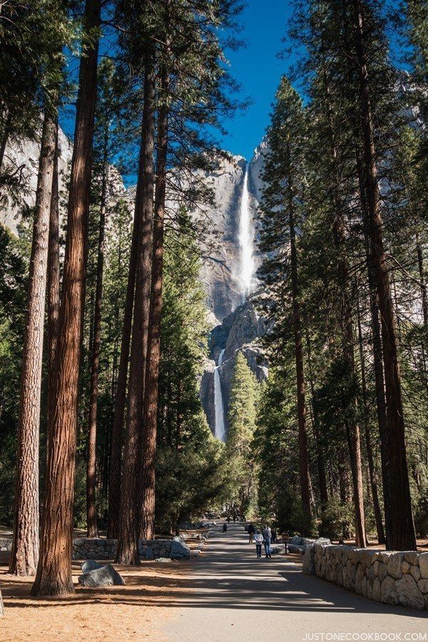 Yosemite Falls | Just One Cookbook