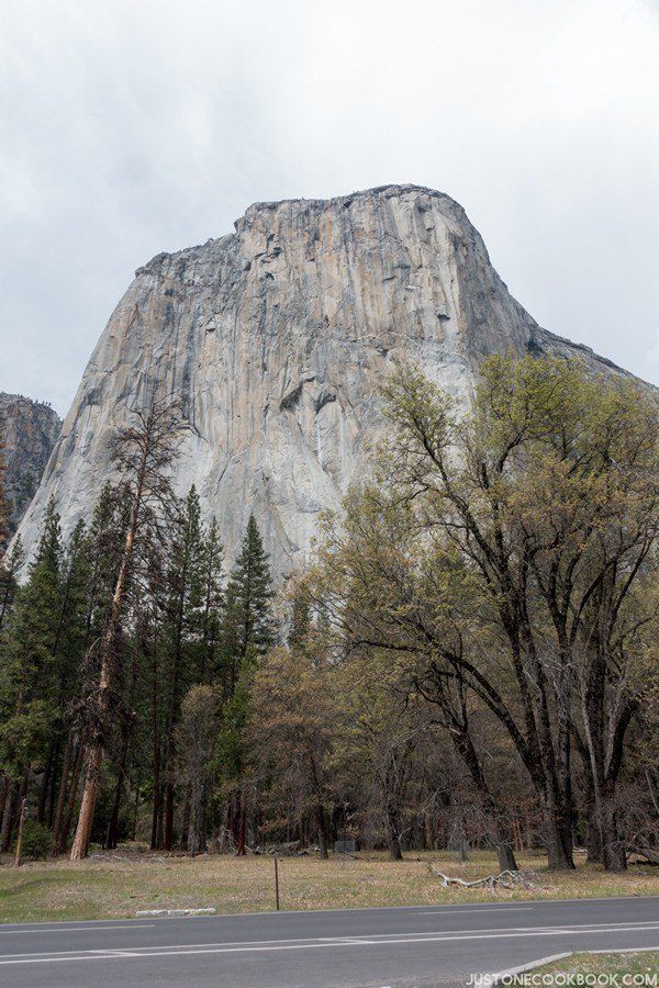 El Capitan Yosemite | Just One Cookbook