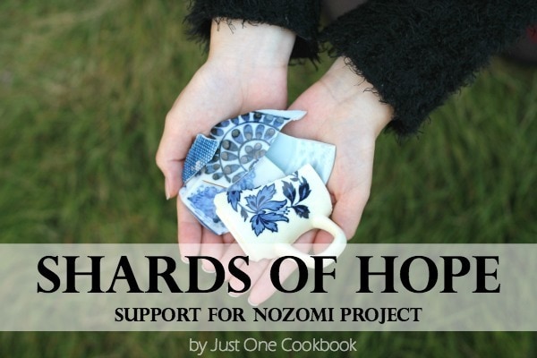 Shards of Hope - Nozomi Project | JustOneCookbook.com