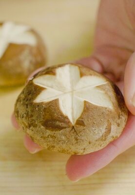 Shiitake Hanagiri | Japanese Cutting Techniques (Hanagiri) | Easy Japanese Recipes at JustOneCookbook.com