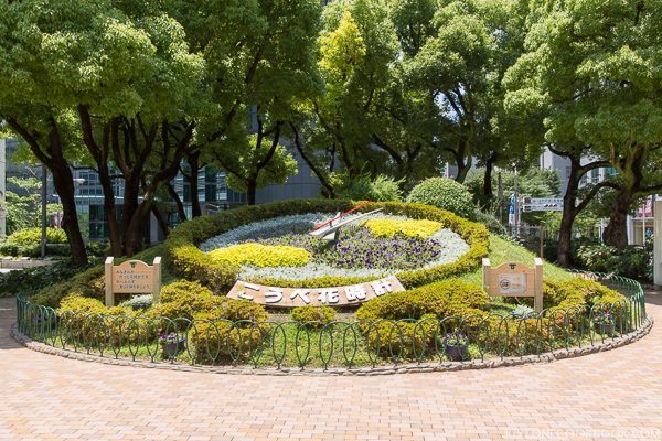 Kobe Flower Clock | Just One Cookbook