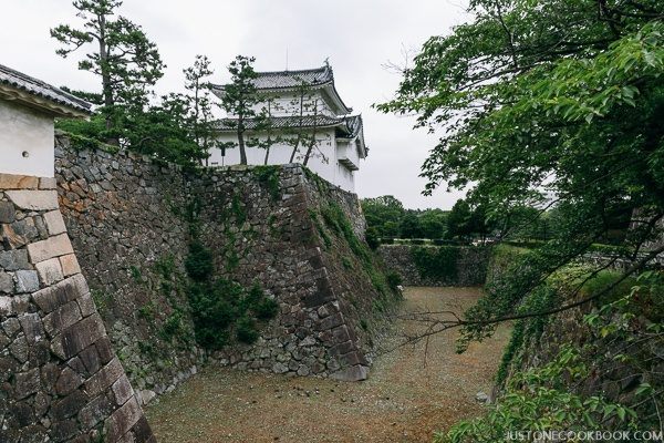 nagoya castle-9828