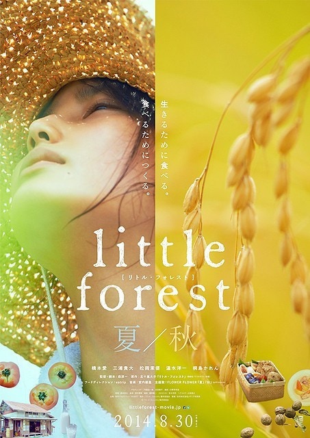 Little Forest- Summer & Autumn
