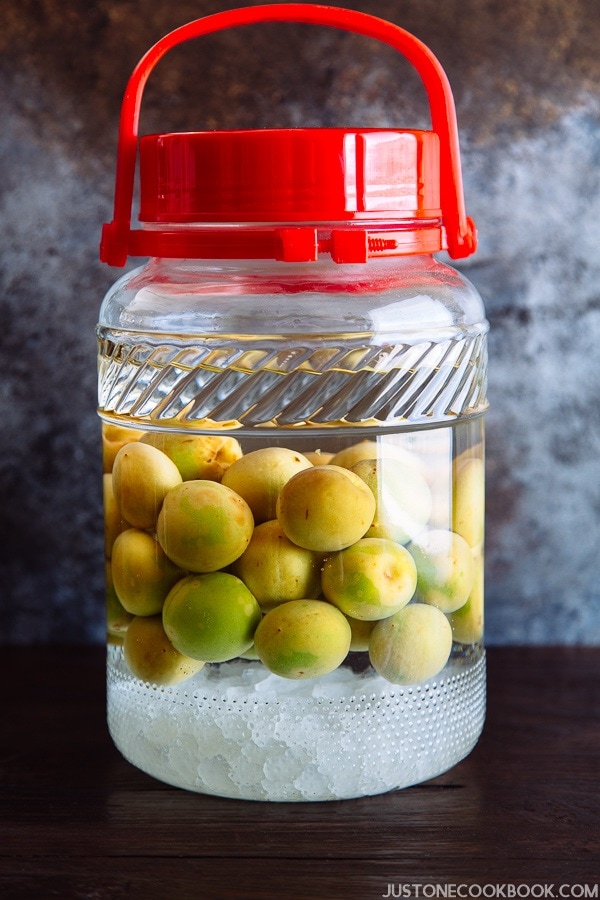 Plum Wine (Umeshu) 梅酒 'Midnight Diner Tokyo Stories' • Just One Cookbook